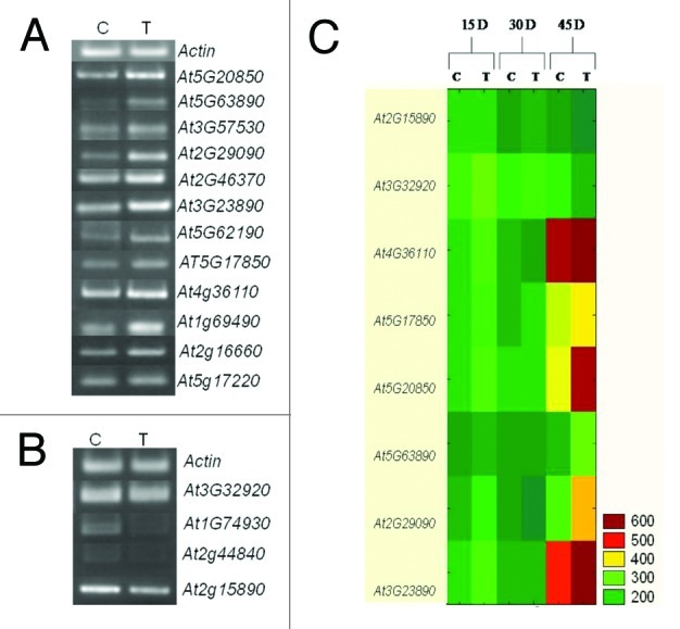 graphic file with name psb-7-235-g4.jpg