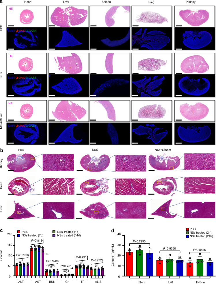 Fig. 10