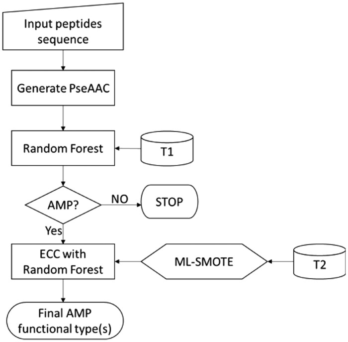 Fig.1.