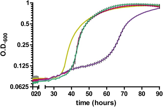 FIGURE 11