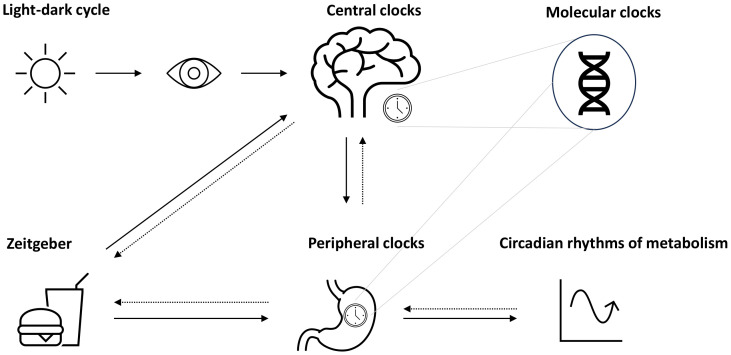 Figure 1