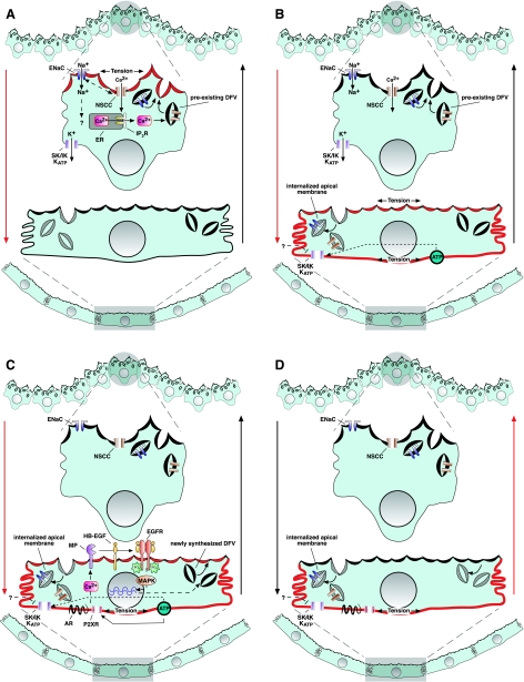 Fig. 8.