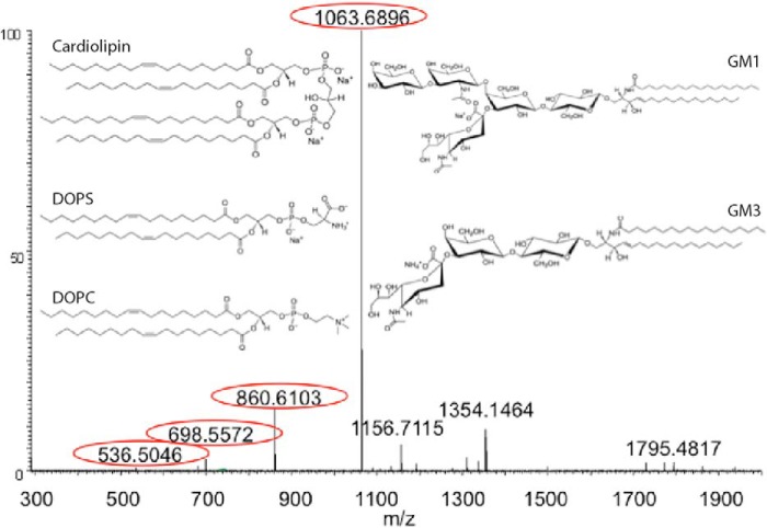 FIGURE 5.