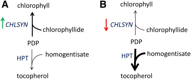 Figure 9.