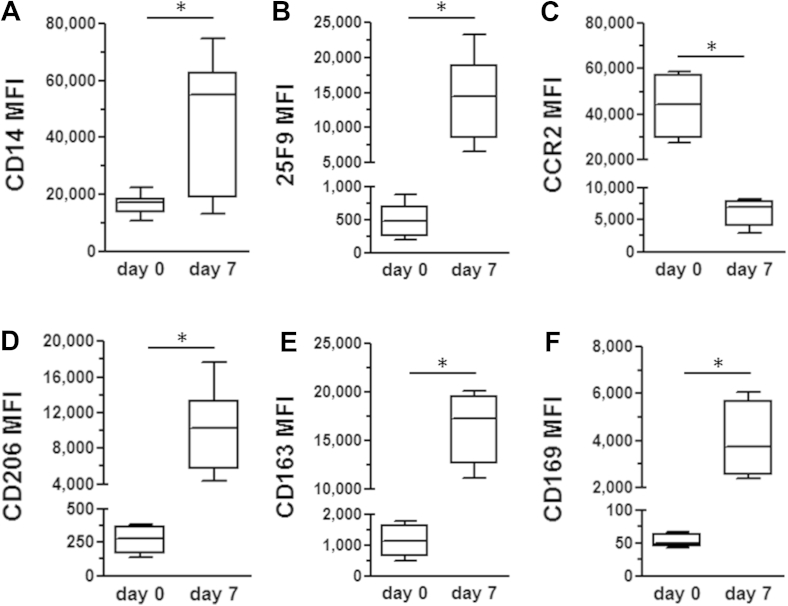 Figure 3