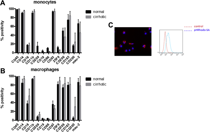 Figure 5