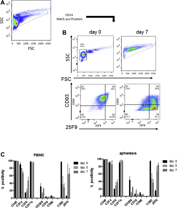 Figure 4