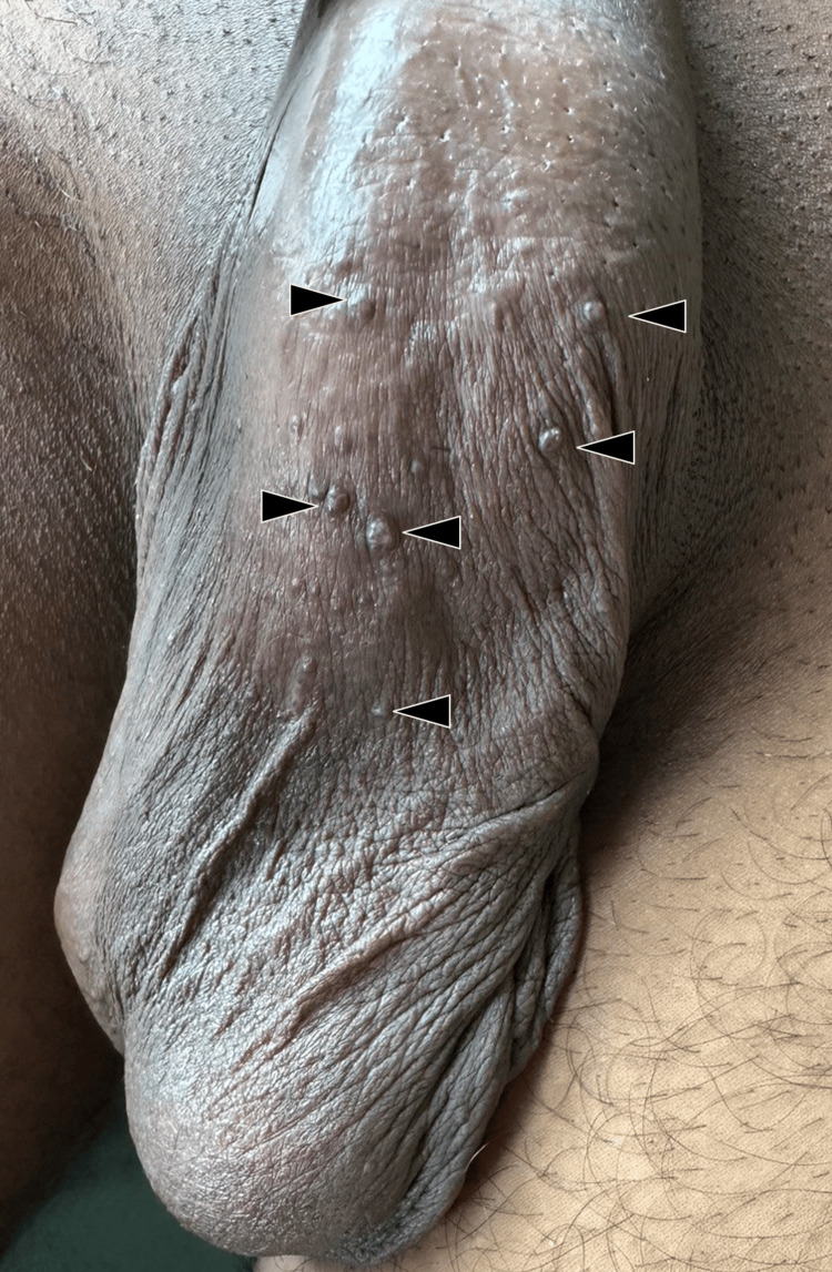 Figure 8