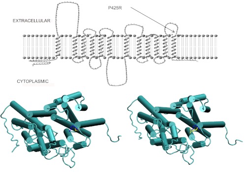 Fig. 6.