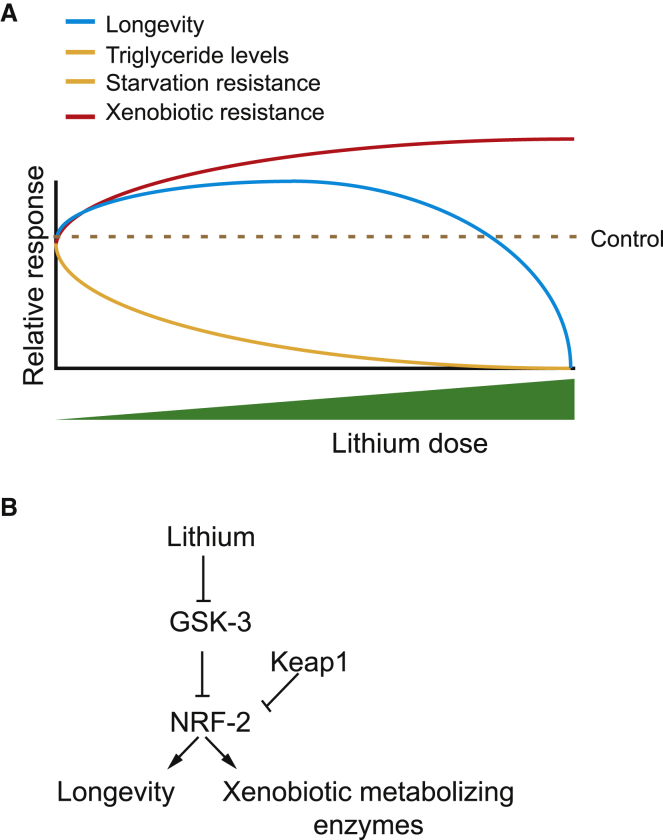 Figure 7