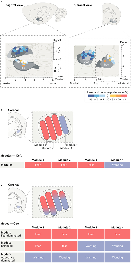 Fig. 3 |