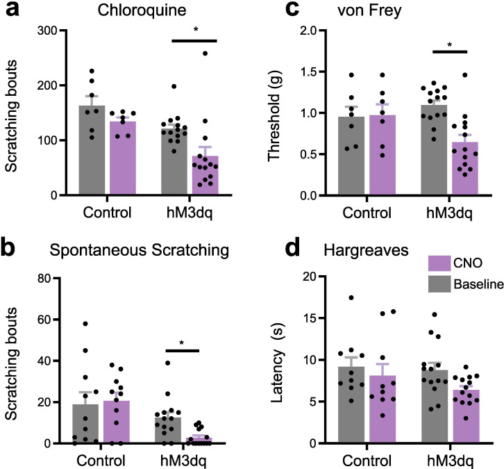 Figure 3—figure supplement 1.