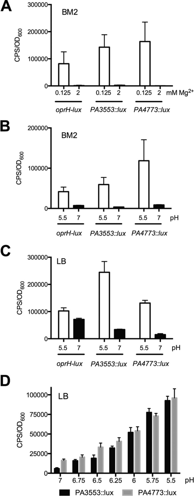 FIG 3