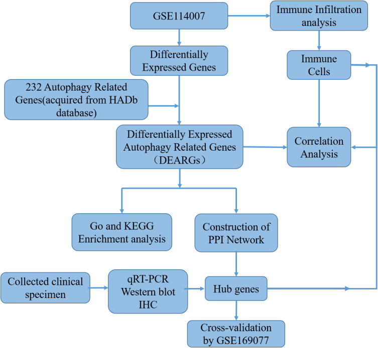 Figure 1