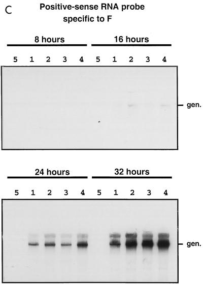 FIG. 6