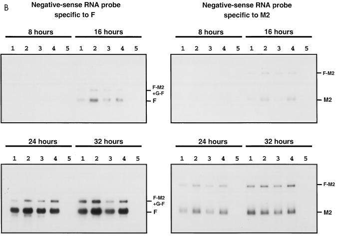 FIG. 6