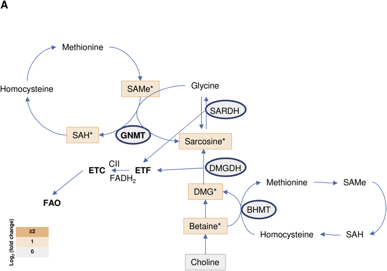 Figure 6