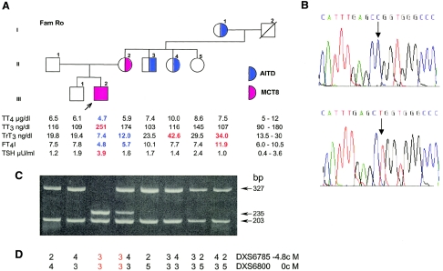 Figure  1