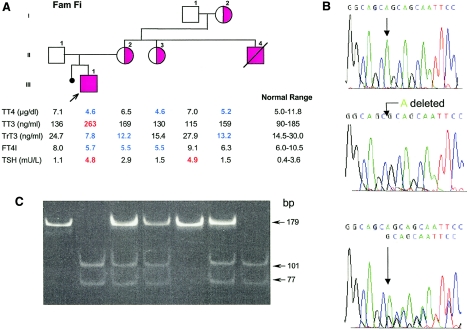 Figure  2