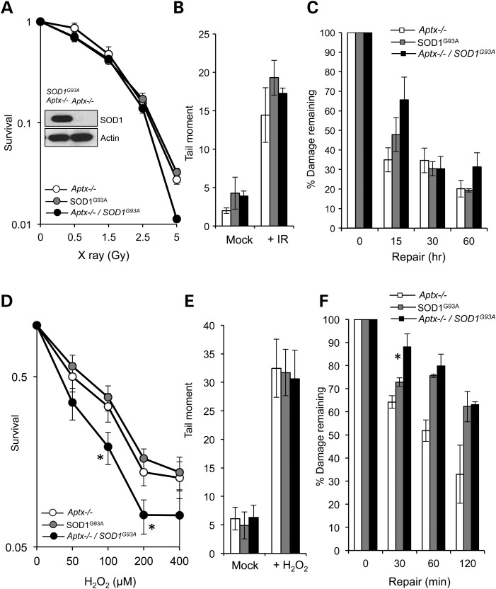 Figure 3.