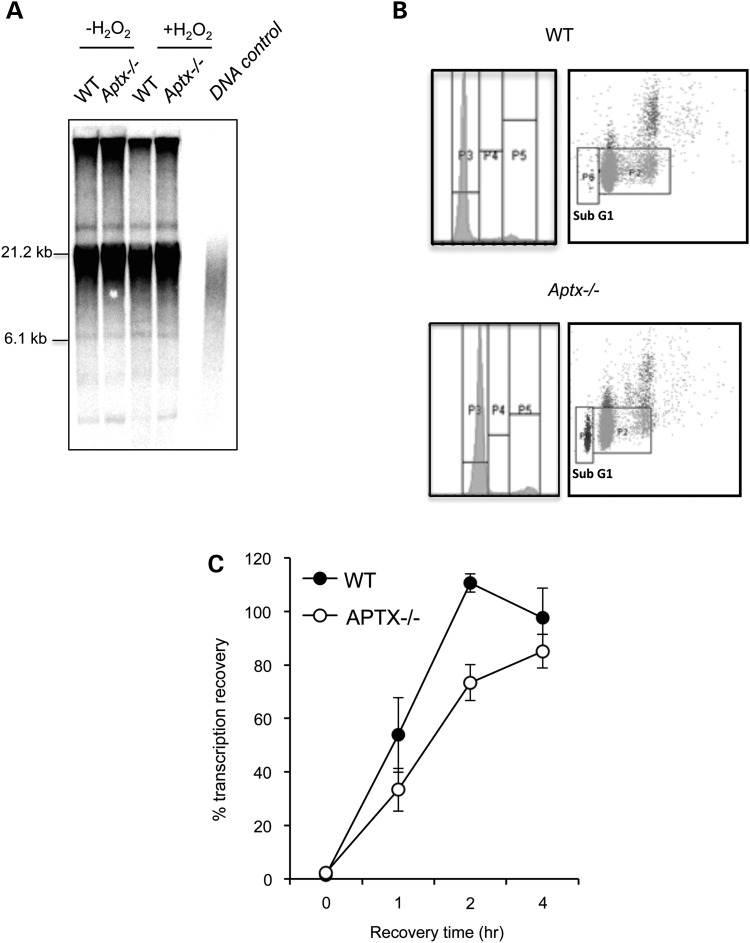 Figure 2.