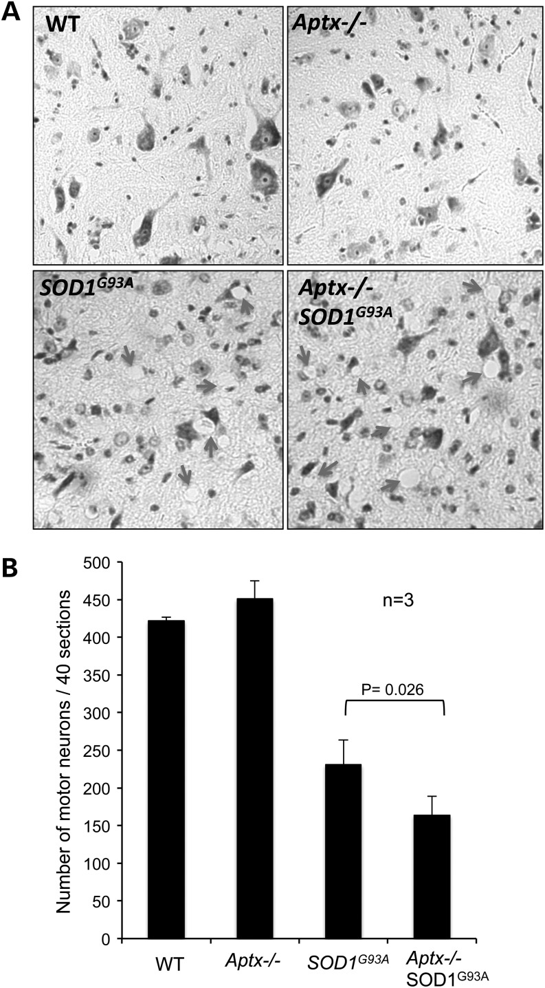 Figure 4.