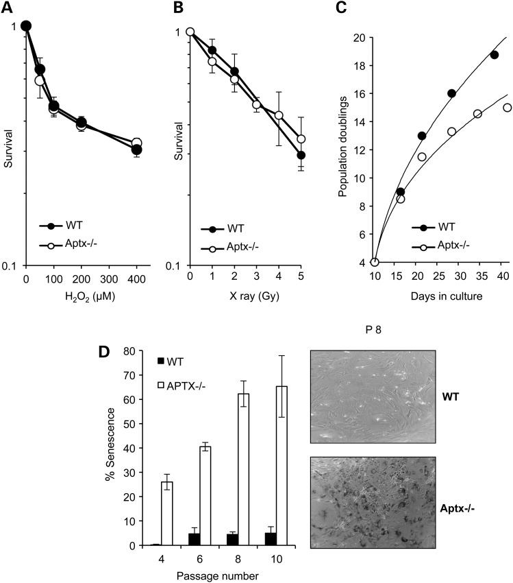 Figure 1.