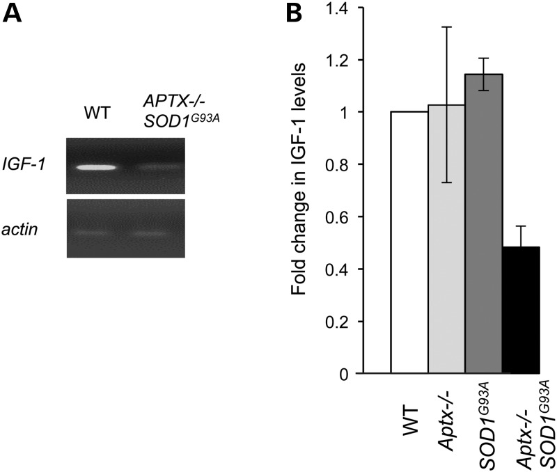 Figure 6.