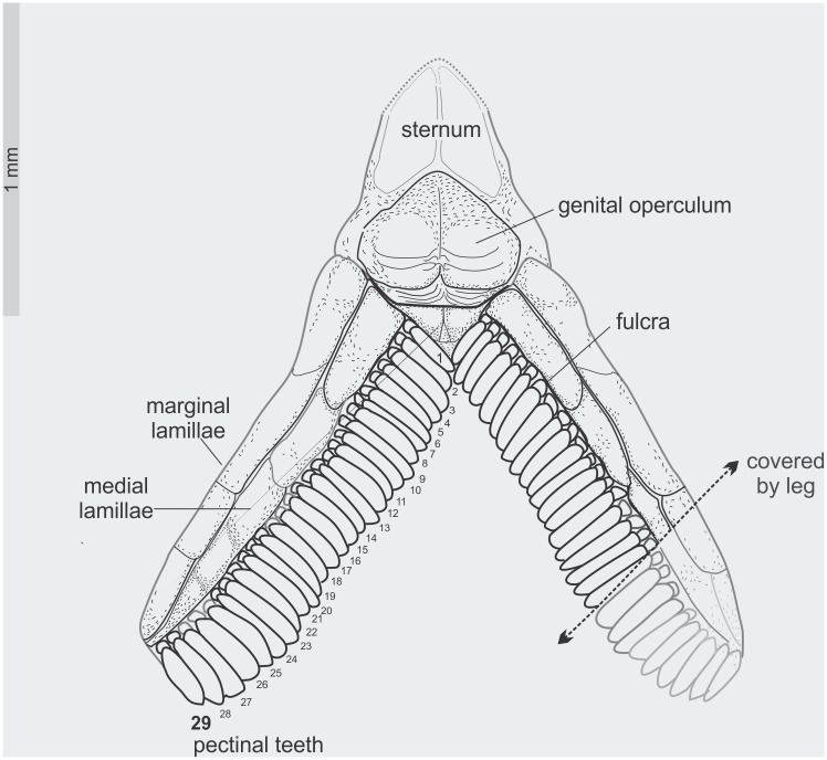 Fig 6