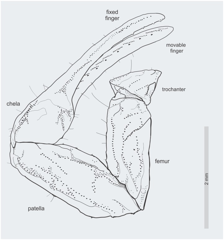 Fig 4