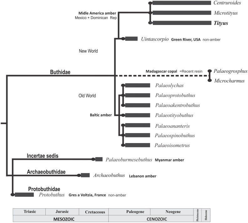 Fig 10