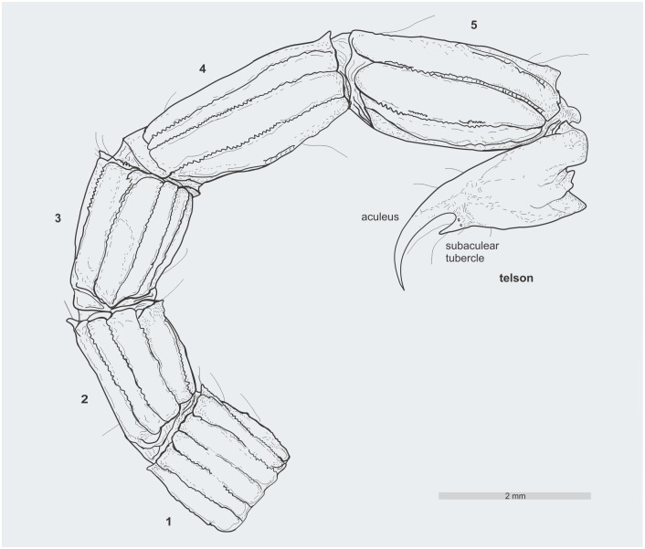 Fig 8