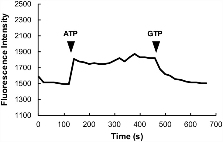 Fig 5