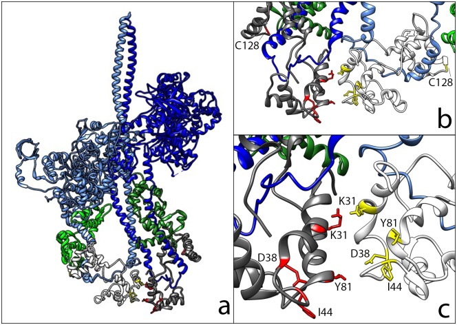 Fig 1