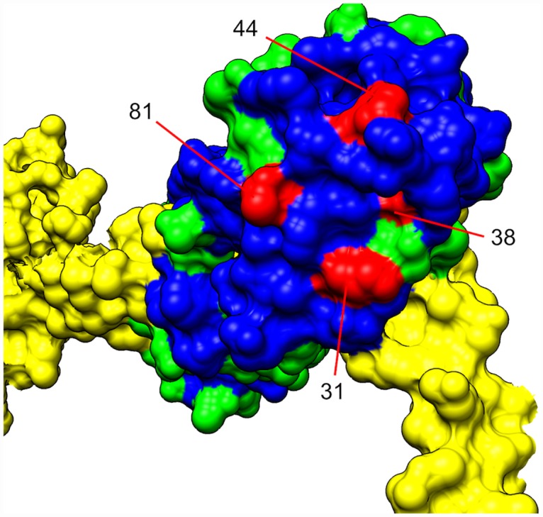 Fig 3