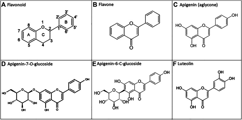 FIGURE 1