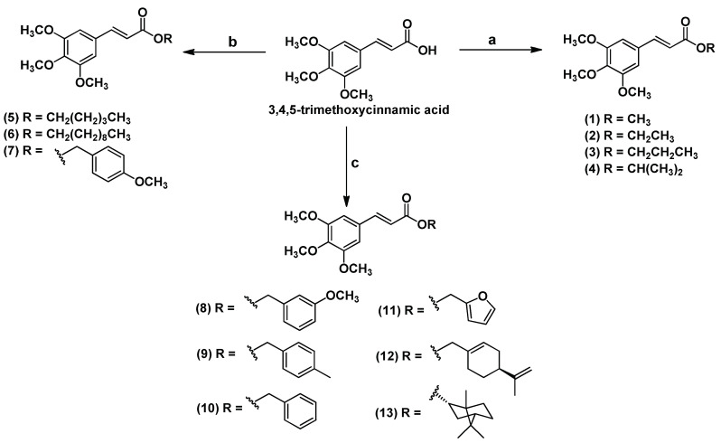 Scheme 1