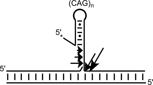 FIGURE 9.