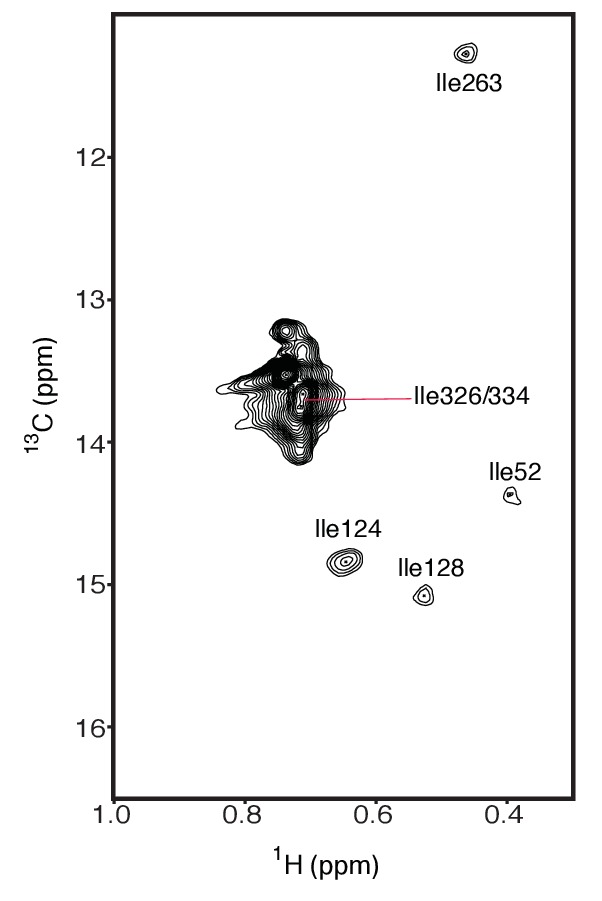 Figure 3—figure supplement 3.