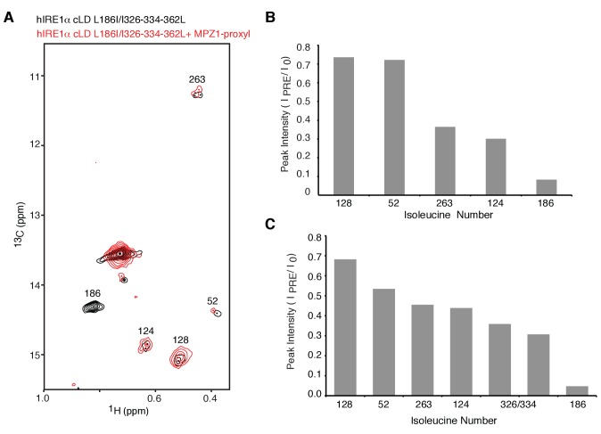 Figure 5—figure supplement 1.