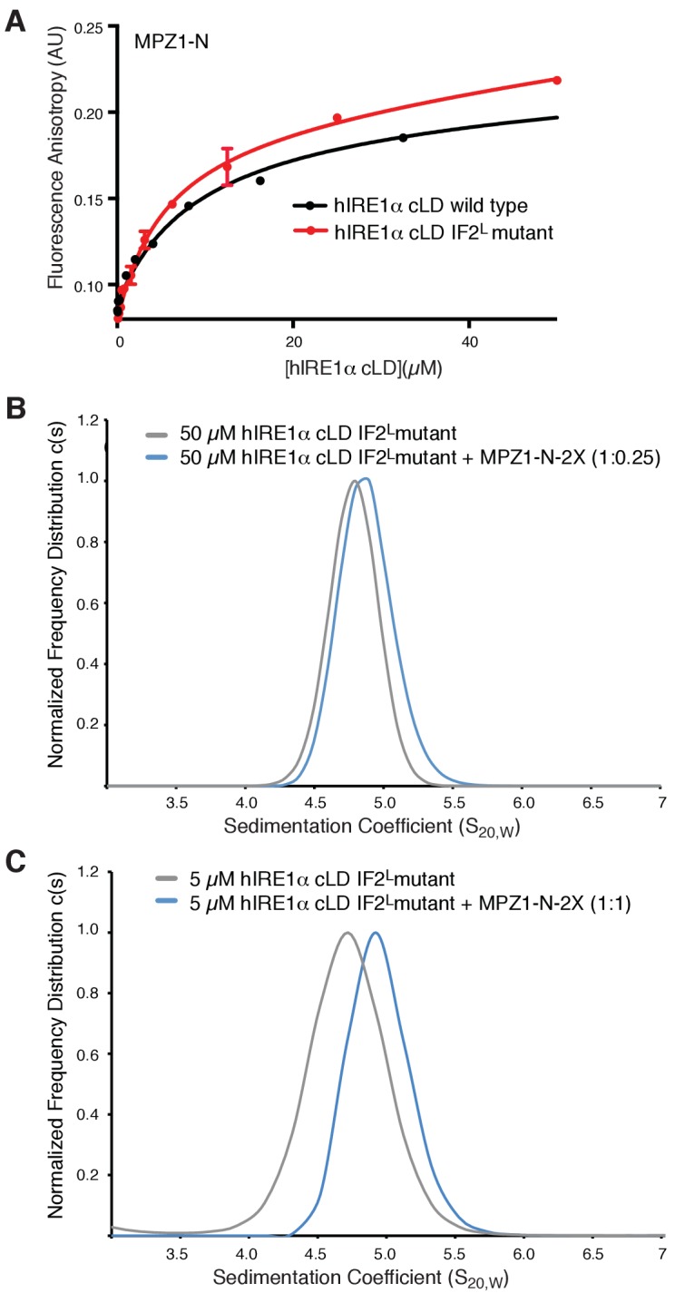 Figure 7—figure supplement 3.