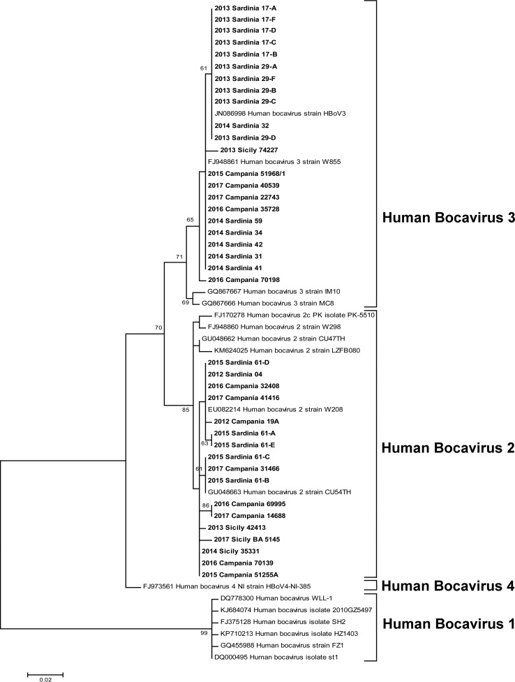 FIG 1