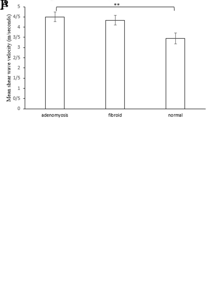 Fig.3