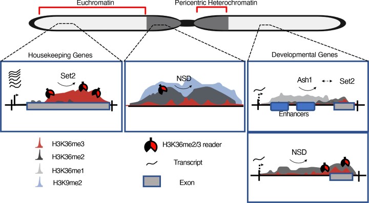 Graphical Abstract