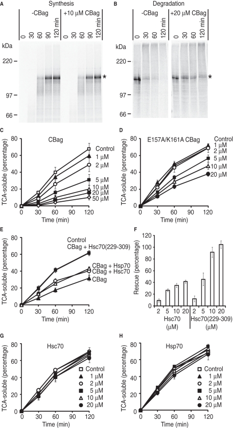 FIGURE 3: