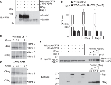 FIGURE 7: