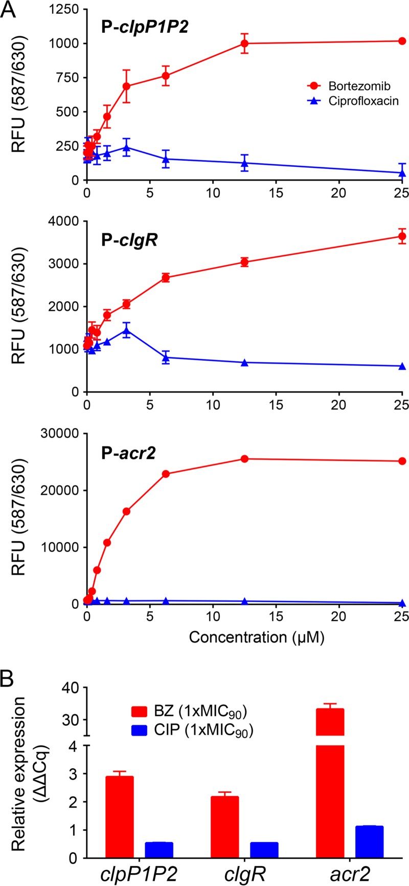 FIG 1 