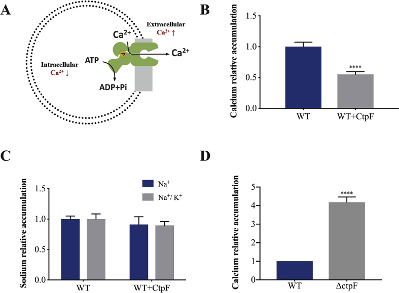 Fig. 3