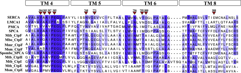 Fig. 1