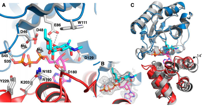 FIG 2